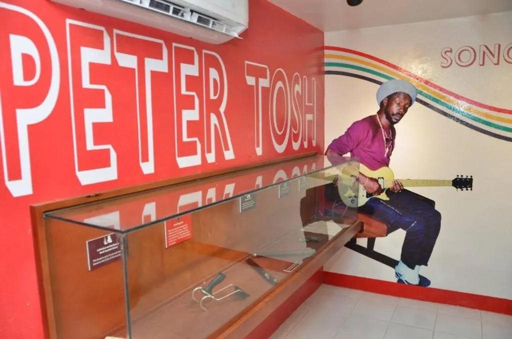 Pulse Rooms At Trafalgar Kingston